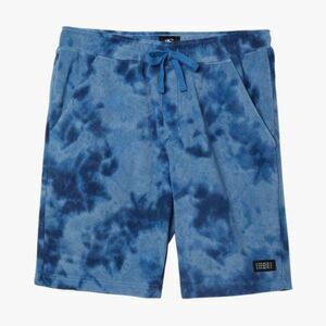 O'Neill Men's Glacier Print Shorts